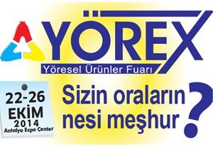 YREX