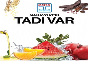 MATSO, MANAVGATI ANKARADA TANITACAK