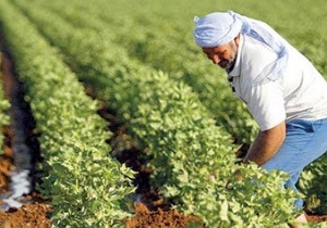 Yeni Torba Yasas iftileride Rahatlatacak