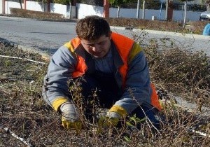 Manavgat Belediyesinden K Bakm