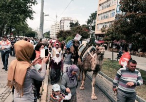 ULUSLARARASI ANTALYA YRK FESTVAL BALADI