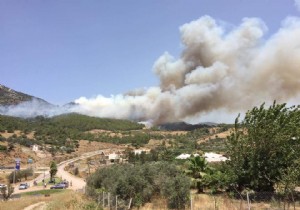 YREKLER AZA GETREN ADRASAN YANGINI KONTROL ALTINA ALINDI