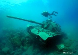 Dal Merakllar Tank in Akdenize Dalacaklar