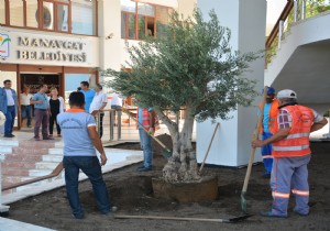 MANAVGAT BELEDYE HZMET BNASINA ZEYTN AALARI DKLD