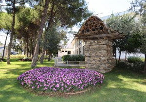 5 Bin Yllk Gemie Sahip Ar Sereni Benzeri Dokuma Park ta