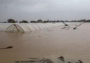 Antalya da Kuvvetli Ya Sonras  Zarar Tespiti Balatld