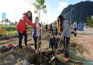 Konyaalt Belediyesi 40 Gen ile 40 Fidan Projesi Balatt