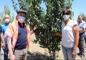 Bakan Bcek Korkuteli nde hasat sevincine ortak oldu