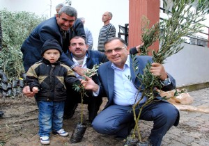 ​ADATINI DEYENE ZEYTN VE CEVZ FDANI HEDYE