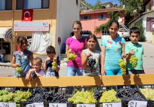 ALTINBEK FESTVAL NDE YRESEL DEERLER TANITILACAK