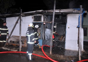 ​ANNEANNE VE 6 TORUNUNU YANMAKTAN KOMULARI KURTARDI