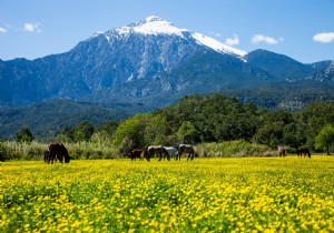 ANTALYA VE EK KONULU FOTORAF YARIMASI SONULANDI