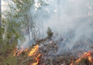 KUNDU-BELEK YOLU ZERN ORMANLIK ALANDA YANGIN