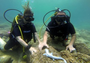 KEKOVA KOYLARI DALI TUTUKUNLARININ YEN GZDES