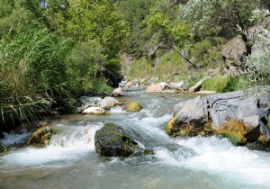 ALAKIR N DANITAY DUR, BAKANLIK DEVAM DED