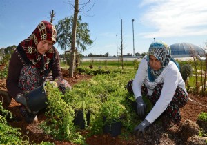 EXPO TEPES NE TIBB VE AROMATK BTKLER DKLYOR