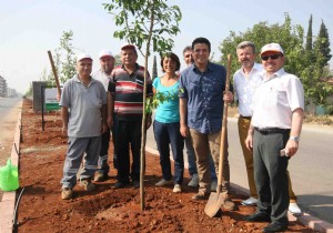 DEMEALTI TURUN VE NARENCYE KOKACAK