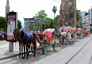 ATSO Bakanndan Hayvan Haklar Vurgusu