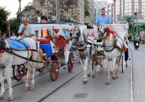 ANTALYA DA FAYTONLARA STANDART GETRLYOR