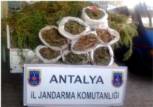 ANTALYA L JANDARMA DAN ZEHR TACRLERNE DARBE