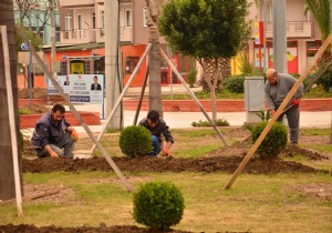 ​KEMER DE YEL ALANLARDA BAKIM ALIMASI