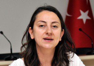 EVRE DUYARLILII ARISI