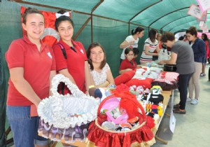 DEMRE DE LSEV YARARINA KERMES DZENLEND