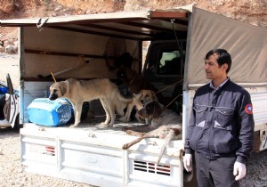 LME TERK EDLEN 30 KPEK KURTARILDI