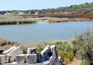 ​ PATARA DA YANGINLARI AVCILAR IKARTIYOR  DDASI