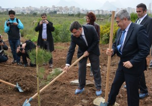 ANAKKALE EHTLER HATIRA ORMANI AILDI