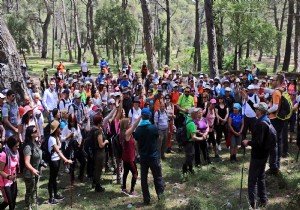 TARH VE DOA AIKLARI ANTALYA DA BULUTU